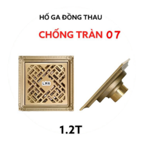 HỐ GA ĐỒNG THAU CHỐNG TRÀN 07