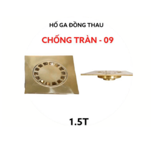 HỐ GA ĐỒNG THAU CHỐNG TRÀN 09