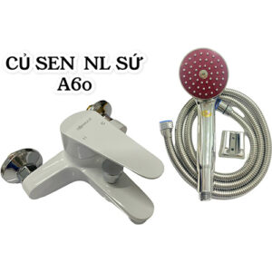 CỦ SEN NL SỨ A60